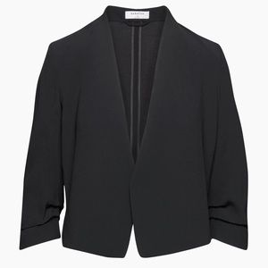 Aritzia Babaton Power Blazer